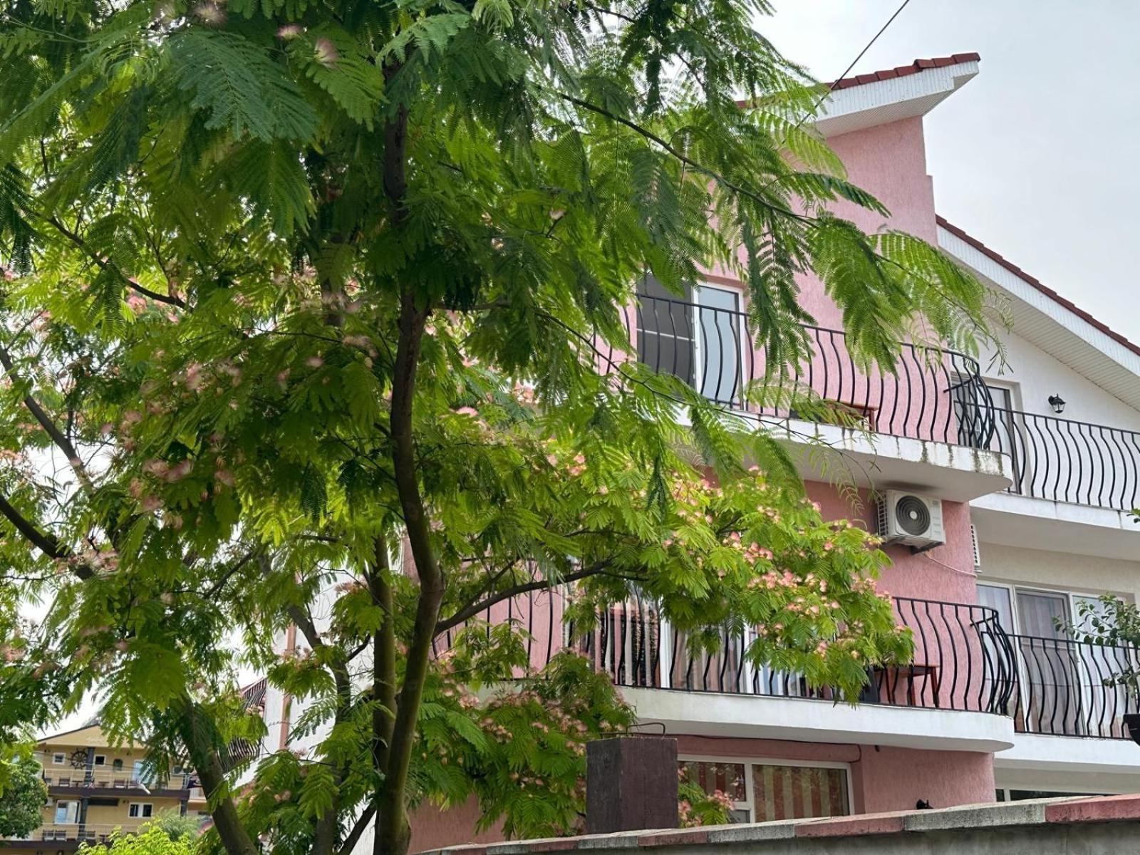 Vila Lucy Costinesti Hotell Exteriör bild