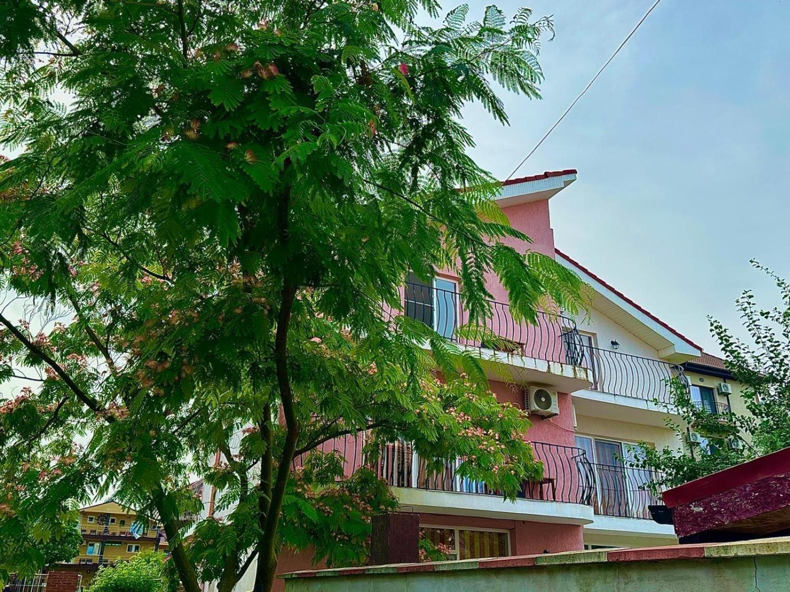Vila Lucy Costinesti Hotell Exteriör bild